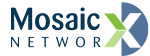 Bridgenet offers Mosaic Networkx